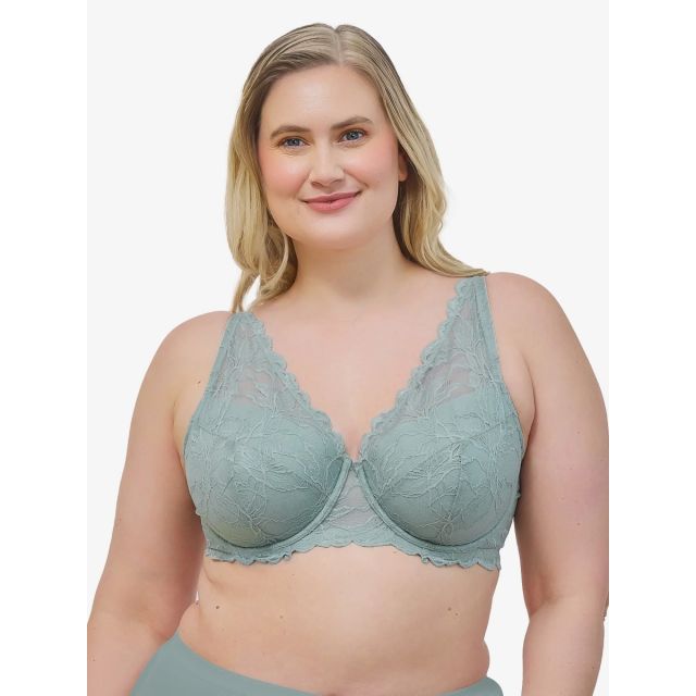 Leading Lady - The Willow Lace Plunge Underwire Bra LL5944SLTE